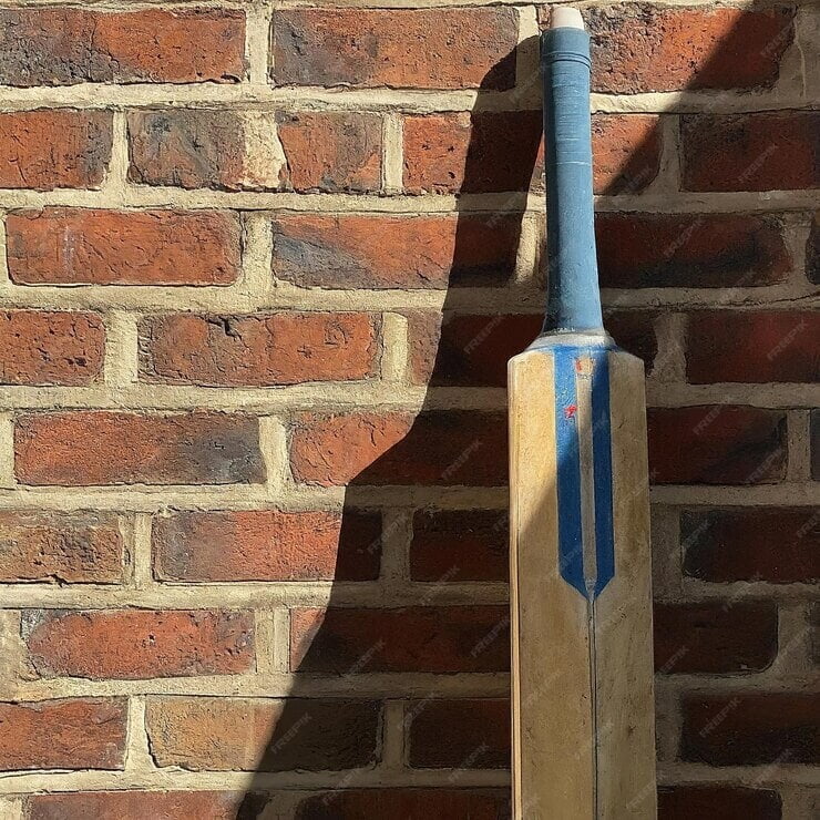 How to Choose the Right Cricket Bat: A Comprehensive Guide