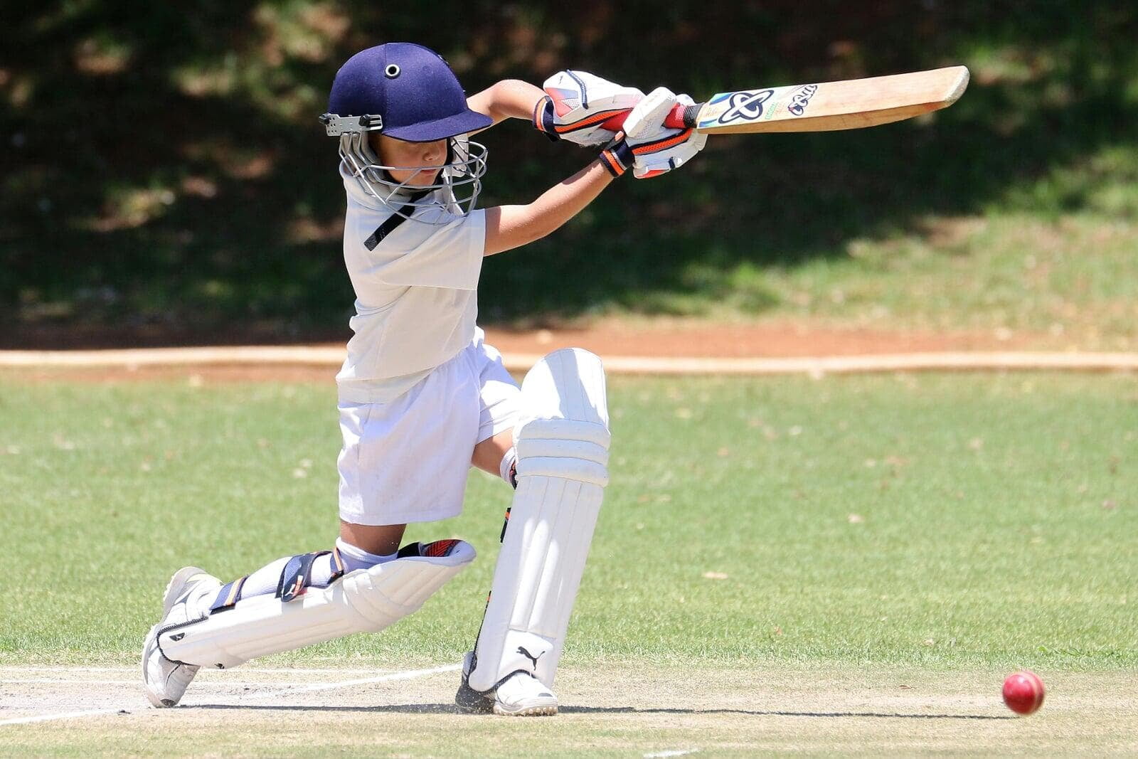 Get Your Young Cricketer Ready for the Season: Tips and Top Equipment Picks!