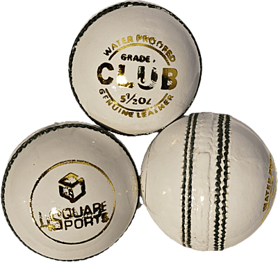 4square sports club ball WHITE