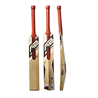 A2 APEX - Kashmir Willow Cricket Bat Custom Profile