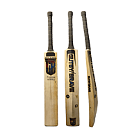 GUTSY and BRAVE PLAVIUS ENGLISH WILLOW CRICKET BAT GUTSY and BRAVE PLAVIUS ENGLISH WILLOW CRICKET BAT