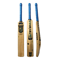 GUTSY and BRAVE PLAVIUS ENGLISH WILLOW CRICKET BAT GUTSY and BRAVE PLAVIUS ENGLISH WILLOW CRICKET BAT