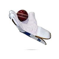 SF PLATINUM WK GLOVES