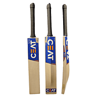 CEAT TOP GUN ENGLISH WILLOW BAT CEAT TOP GUN ENGLISH WILLOW BAT