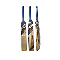 A2 CREST Kashmir willow bat
