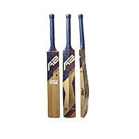 A2 CREST Kashmir willow bat