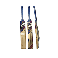 A2 CREST Kashmir willow bat