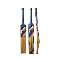 A2 CREST Kashmir willow bat