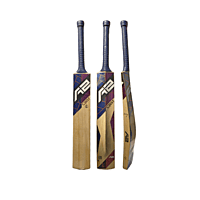 A2 CREST Kashmir willow bat