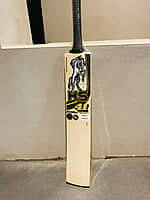 HS 41 PRO EDITION BABAR AZAM BAT
